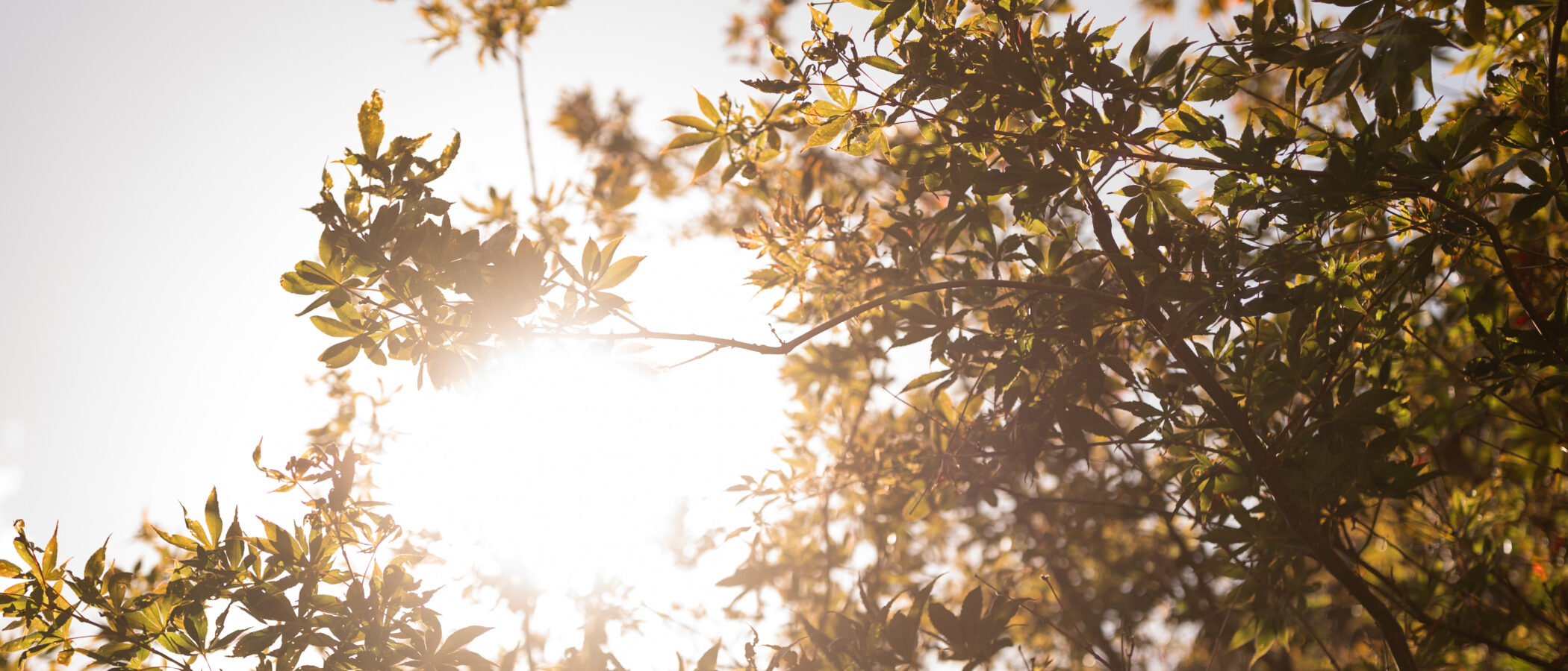 Christian Focus and Pastoral Care